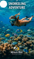 Snorkeling Adventures