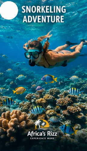 Snorkeling Adventures